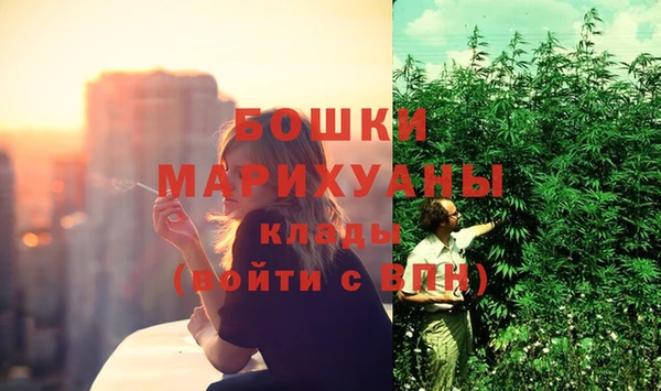 марки nbome Вяземский