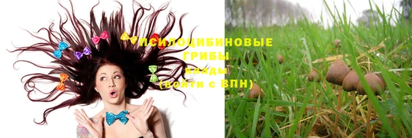 таблы Вязьма