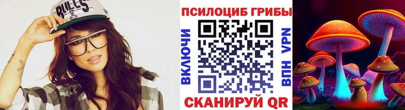 Псилоцибиновые грибы Cubensis  Ипатово 